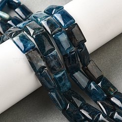Natürliche Apatit Perlen Stränge&nbsp;G-Q026-B01-01