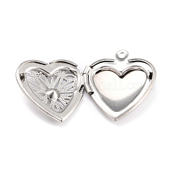 Pendentifs en acier inoxydable 304 anti-ternissement avec strass&nbsp;STAS-L258-006P
