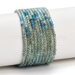 Natürliche Apatitperlenstränge mit Farbverlauf&nbsp;GG-CBA1668-A04-2mm