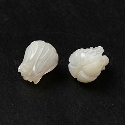 Natürliche Trochidschale / Trochusschalenperlen&nbsp;BSHE-E026-03