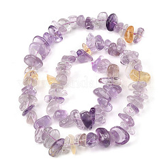 Naturperlen Stränge ametrine&nbsp;G-P622-A02-02