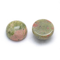 Natur unakite Cabochons&nbsp;X-G-P393-R31-10mm