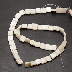 Naturali di acqua dolce perline shell fili&nbsp;SHEL-E355-07B