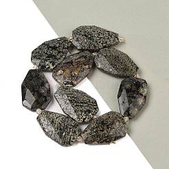 Naturschneeflocke Obsidian Perlen Stränge&nbsp;G-P548-B20-01