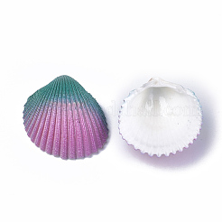 Sprühfarbe natürliche Arche Muschelperlen&nbsp;X-SSHEL-S261-03A