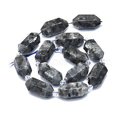 Fili di perline di larvikite naturale&nbsp;G-F715-056