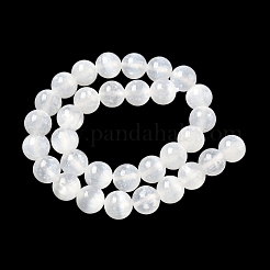 Fili di perline di selenite naturale&nbsp;G-L552H-16D