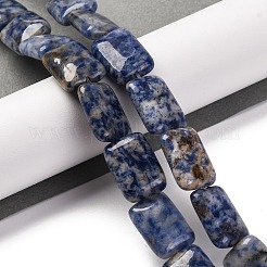 Natürliche blaue Fleck Jaspis Perlen Stränge&nbsp;G-T047-B10-01