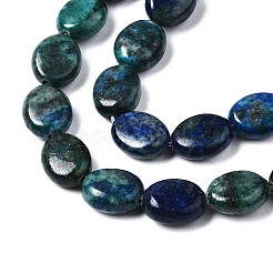 Natürliche Chrysokolla und Lapislazuli Perlen&nbsp;X-G-N330-031