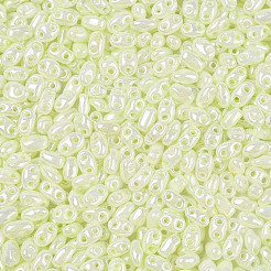 Colori opachi lustro perline di semi di vetro&nbsp;SEED-T006-02J