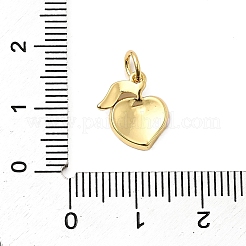 Breloques d'émail en laiton&nbsp;KK-A268-30G-02