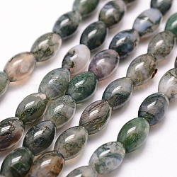 Chapelets de perles en agate mousse naturelle, riz, 12x8mm, Trou: 1.2mm, 33 pcs / chapelet, 15.7 pouce