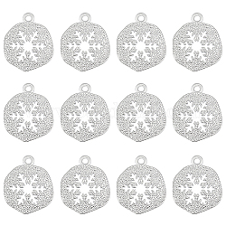 Benecreat 12 шт. латунные подвески, плоские круглые со снежинкой, Реальная платина, 14x12x1 мм, отверстие : 1 мм
