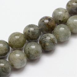 Natural Labradorite Bead Strands, Round, 8mm, Hole: 1mm, about 49pcs/strand, 15.4 inch