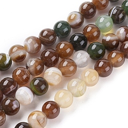 Chapelets de perles en agate à rayures naturelles/agates à bandes, teints et chauffée, ronde, café, 6mm, Trou: 1mm, Environ 63 pcs/chapelet, 14.57 pouce (37 cm)