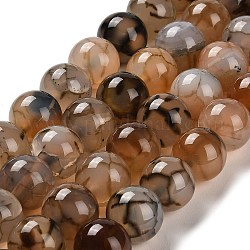 Chapelets de perles veines de dragon en agate naturelle, ronde, café, 16mm, Trou: 1.6mm, Environ 24~25 pcs/chapelet, 14.76~15.43'' (37.5~39.2 cm)