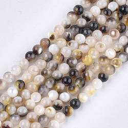Schwarz Lippe Shell Perlen Stränge, Runde, Schwarz, 5 mm, Bohrung: 0.8 mm, ca. 77 Stk. / Strang, 14.9 Zoll
