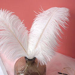 ダチョウの羽飾りアクセサリー  diyの写真の小道具  背景クラフト  ホワイト  300~350mm