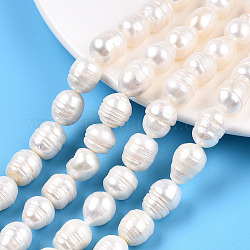 Fili di perle di perle d'acqua dolce coltivate naturali, perline di riso con perle keshi barocche, colore conchiglia, 10~16x11~12mm, Foro: 0.7~0.8 mm, circa 27~28pcs/filo, 13.98 pollice (35.5 cm)