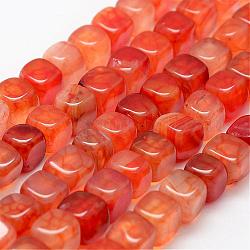 Filo di perline di agata naturale, tinto, cubo, arancio rosso, 9~10x9~10mm, Foro: 1.5 mm, circa 39~41pcs/filo, 15 pollice (38 cm)