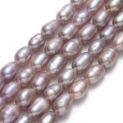 Natural Cultured Freshwater Pearl Beads Strands, Rice, Rosy Brown, 4.5~5.5x3.5~4.5mm, Hole: 0.6mm, about 62~66pcs/strand, 13.39