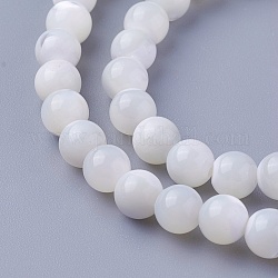 Chapelets de perles de coquillage, ronde, 6~6.2mm, Trou: 1mm, Environ 65 pcs/chapelet, 15 pouce (38 cm)