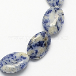 Плоский овальный драгоценный камень натуральное синее пятно нитки из бисера яшмы, королевский синий, 18x13x6 мм, отверстие : 2 мм, около 22 шт / нитка, 15.7 дюйм