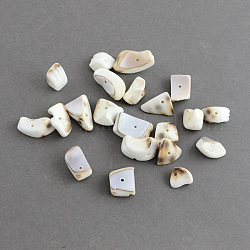 Cuentas de chips de concha de tigre irregulares naturales, fragmentos de concha, blanco cremoso, 10~20x10~12x6~8mm, agujero: 1.5 mm