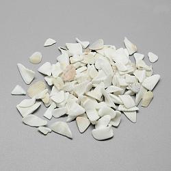 Perles de coquille naturels, sans trou, teinte, puce, 4~15x2~12x1~8mm