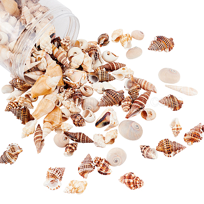 Shop PandaHall about 400g Mixed Ocean Beach Spiral Seashells Craft Charms  for Home Decorations for Jewelry Making - PandaHall Selected