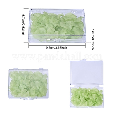 Contenitori di perle di plastica trasparente&nbsp;CON-WH0019-04-1