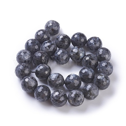 Chapelets de perles en labradorite naturelle  G-P428-9B-16mm-1