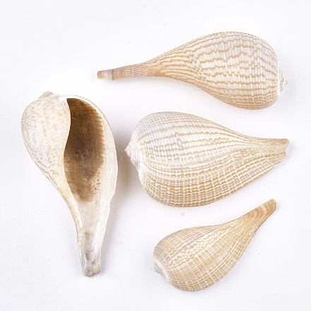 Perles de coquillages en spirale SSHEL-T005-06-1