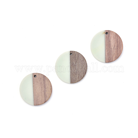Resin & Wood Pendants X-RESI-T023-15B-1