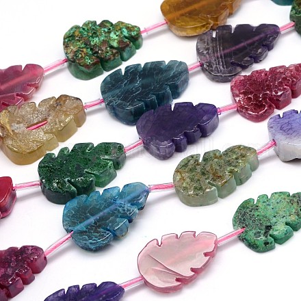 Dyed Natural Agate Leaf Bead Strands G-M218-05-1