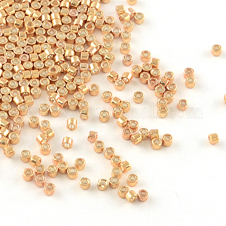 Perles miyuki delica X-SEED-R015-411-1