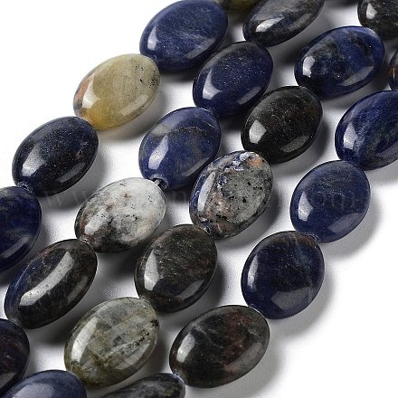 Natural Sodalite Beads Strands G-L164-A-20-1