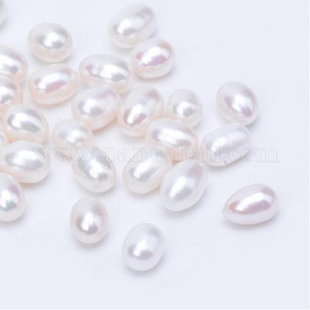 Natural Cultured Freshwater Pearl No Hole Beads PEAR-R063-56-1