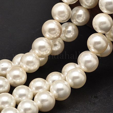 Round Shell Pearl Bead Strands BSHE-M011-02-1