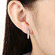Boucles d'oreilles créoles en laiton et zircons cubiques EJEW-BB14966-B-6