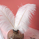 ダチョウの羽飾りアクセサリー  diyの写真の小道具  背景クラフト  ホワイト  300~350mm FEAT-PW0001-005D-1
