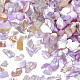 Rodajas de conchas naturales de agua dulce MRMJ-N026-003-06-1
