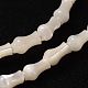 Natural White Shell Beads Strands SSHEL-D058A-3