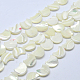 Shell normal de perles blanches de brins X-SSHEL-12X11-3