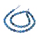 Natural Apatite Beads Strands G-O201B-04-2