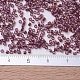 Perline miyuki delica piccole X-SEED-J020-DBS0103-3