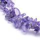 Natural Amethyst Beads Strands X-G-P332-06-2