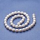 Natural Cultured Freshwater Pearl Beads Strands PEAR-P060-29B-2