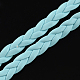 Braided Imitation Leather Cords LC-S002-5mm-10-2