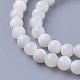 Chapelets de perles de coquillage SSHEL-E571-39-6mm-1